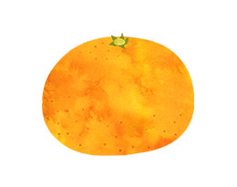 中柑橘
